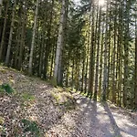Trekking Camp Am Renchtalsteig Kemp Oppenau