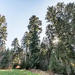 Kemp Trekking Camp Am Renchtalsteig Oppenau