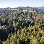 Trekking Camp Am Renchtalsteig * Oppenau