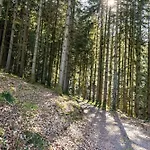 Kemp Trekking Camp Am Renchtalsteig Oppenau
