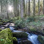 Trekking Camp Am Renchtalsteig Kemp