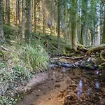 Trekking Camp Am Renchtalsteig Kemp *