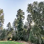 Trekking Camp Am Renchtalsteig Кемпинг