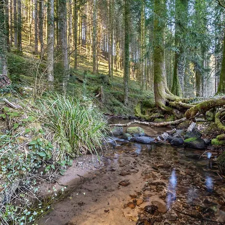 Camping Trekking Camp Am Renchtalsteig *