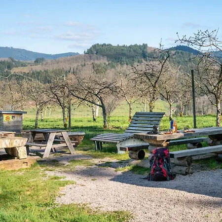 Kamp alanı Trekking Camp Am Renchtalsteig Oppenau