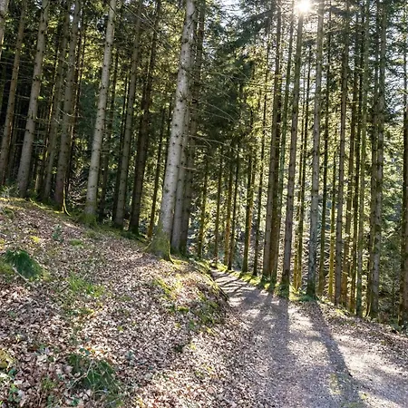 Trekking Camp Am Renchtalsteig Kamp alanı Oppenau