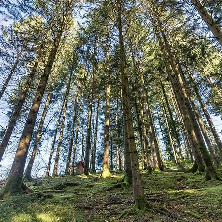 Trekking Camp Am Renchtalsteig Kamp alanı Oppenau