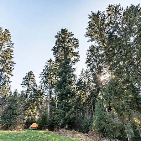 Kamp alanı Trekking Camp Am Renchtalsteig Oppenau