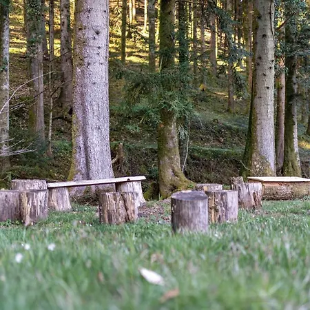 Trekking Camp Am Renchtalsteig مكان تخييم