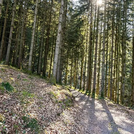 مكان تخييم Trekking Camp Am Renchtalsteig أوبناو