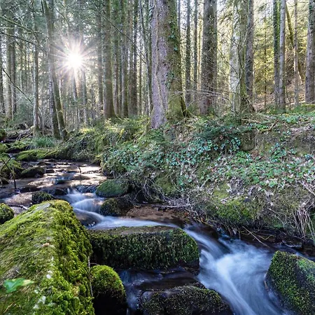 Trekking Camp Am Renchtalsteig مكان تخييم