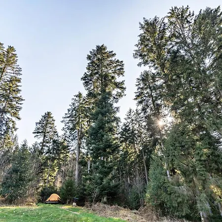 Trekking Camp Am Renchtalsteig مكان تخييم